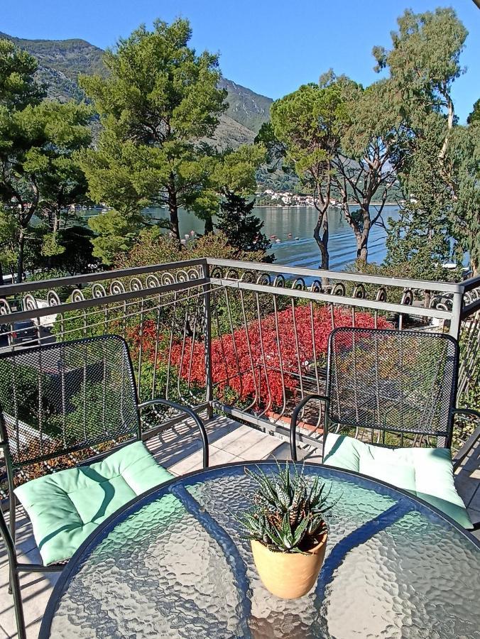 Apartments Vojvoda Kotor Bagian luar foto