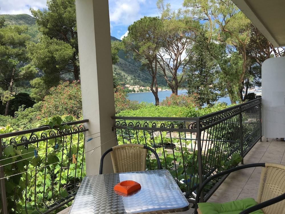 Apartments Vojvoda Kotor Bagian luar foto
