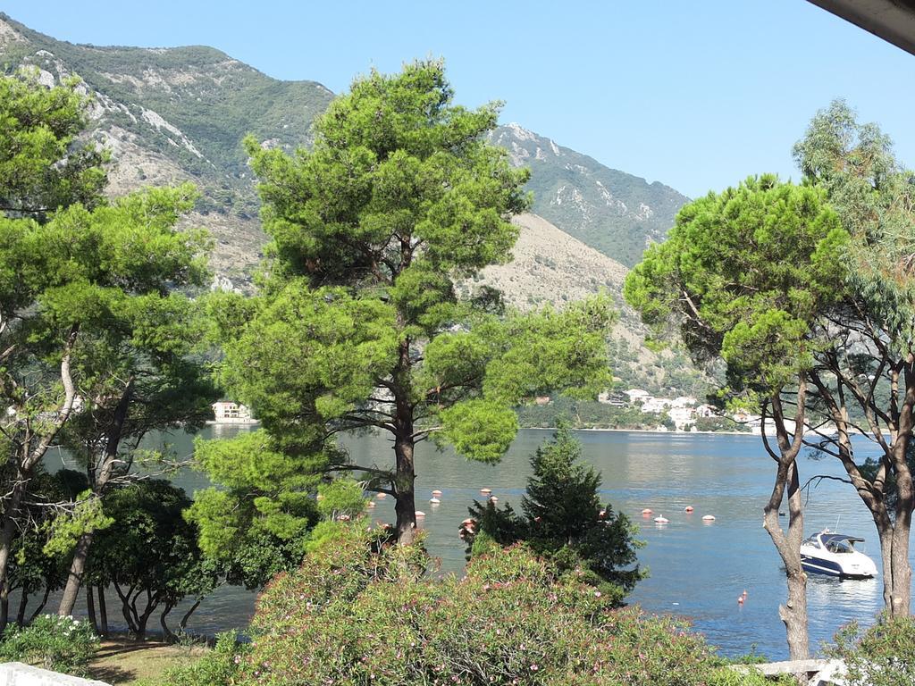 Apartments Vojvoda Kotor Ruang foto