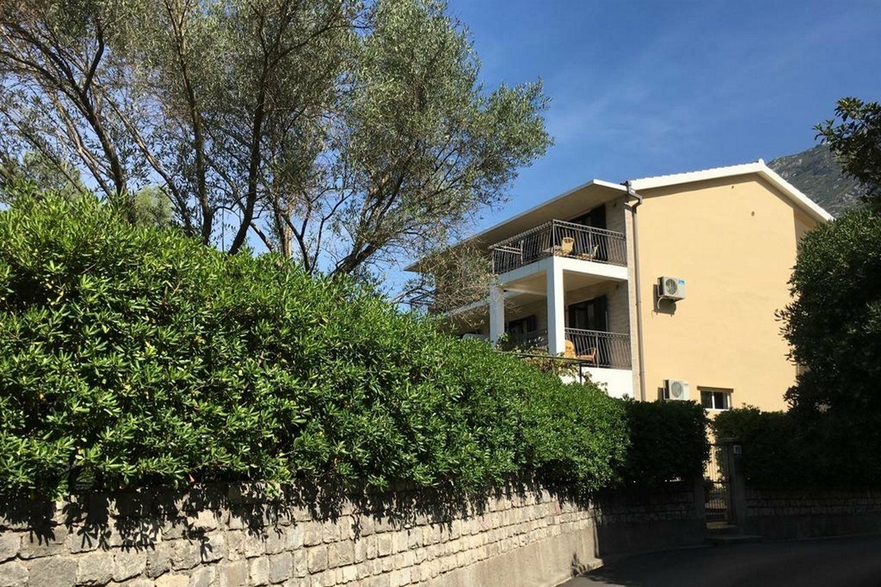 Apartments Vojvoda Kotor Bagian luar foto